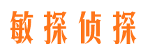 根河市私家侦探